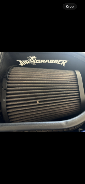 IMG_0455.png
